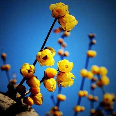 环球体育官方登录入口