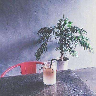 天天中彩票手机app下载