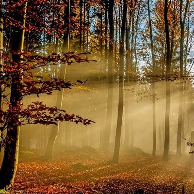 Welcome彩票中心注册大厅进入