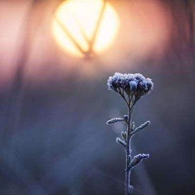 皇冠正规娱乐平台app下载