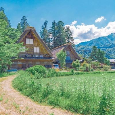 澳门4949资料免费大全手机app下载