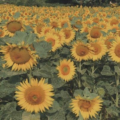 澳客APP下载官网截图