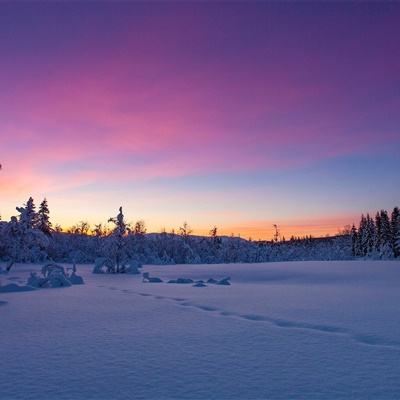 ag网游在线下载