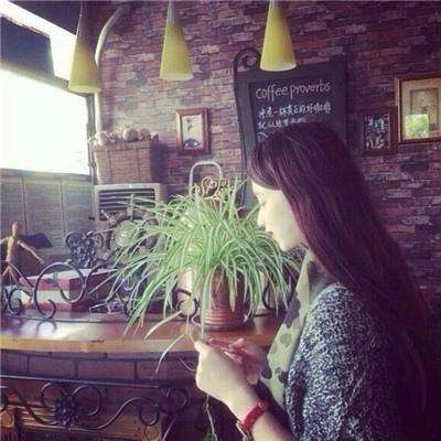 乐鱼app官方下载入口